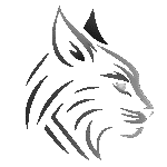 lynx 12 logo cinza